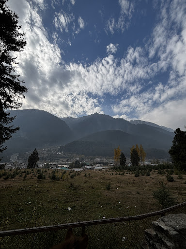 Photo from customer review