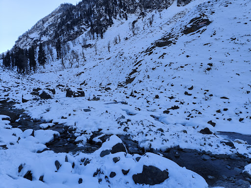 Photo from customer review