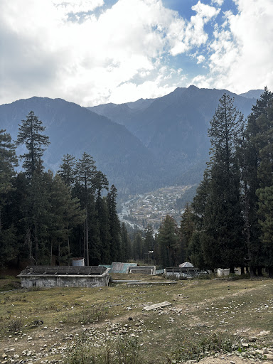 Photo from customer review