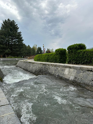 Photo from customer review