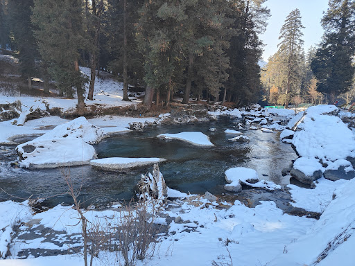 Photo from customer review