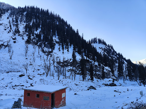 Photo from customer review