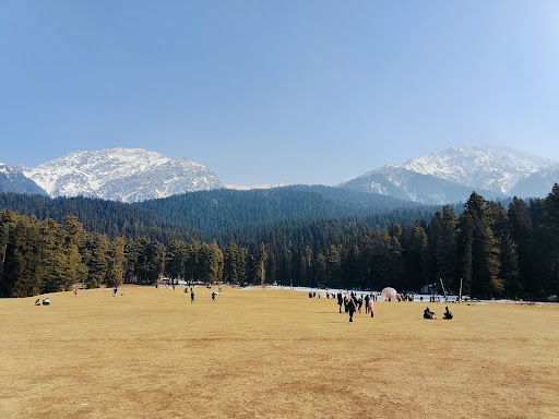 Photo from customer review