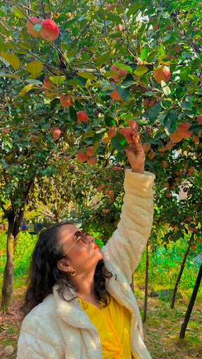 Photo from customer review