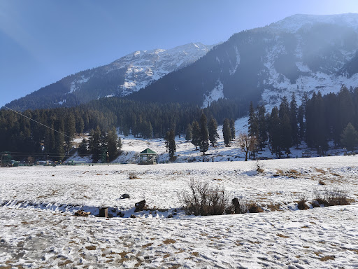 Photo from customer review