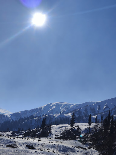 Photo from customer review